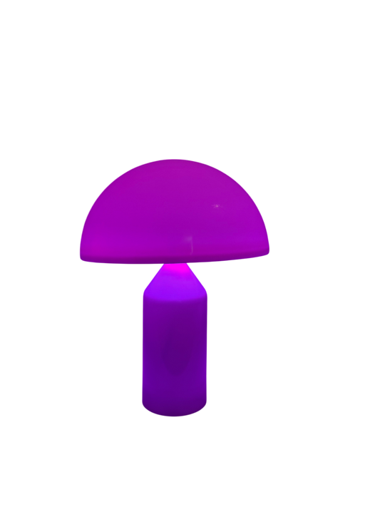 Limitierte Mushroom Groove Pilzlampe – bunt & perfekt im Sommer