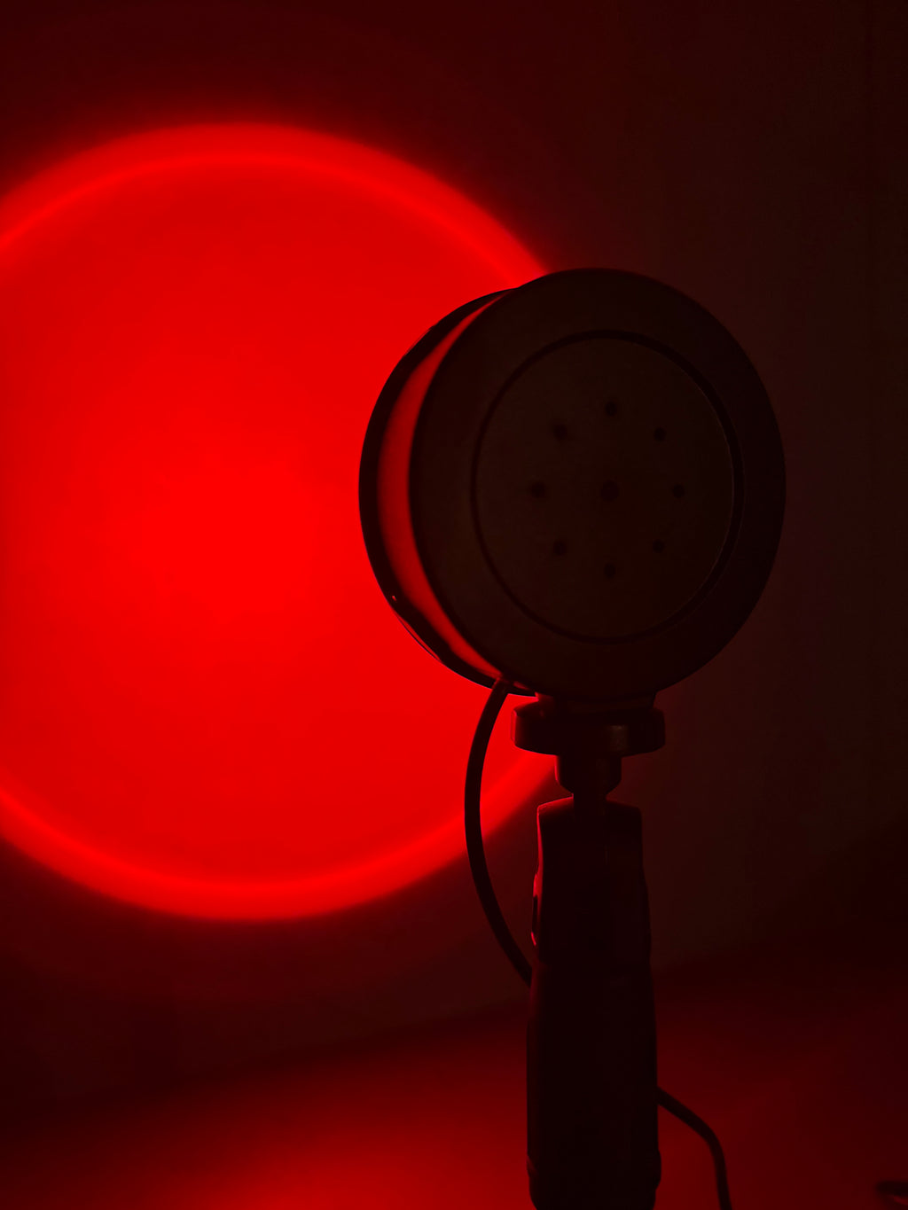 Limitierte Sunset Bloom LED Lampe – warmes Moodlight im Sommer