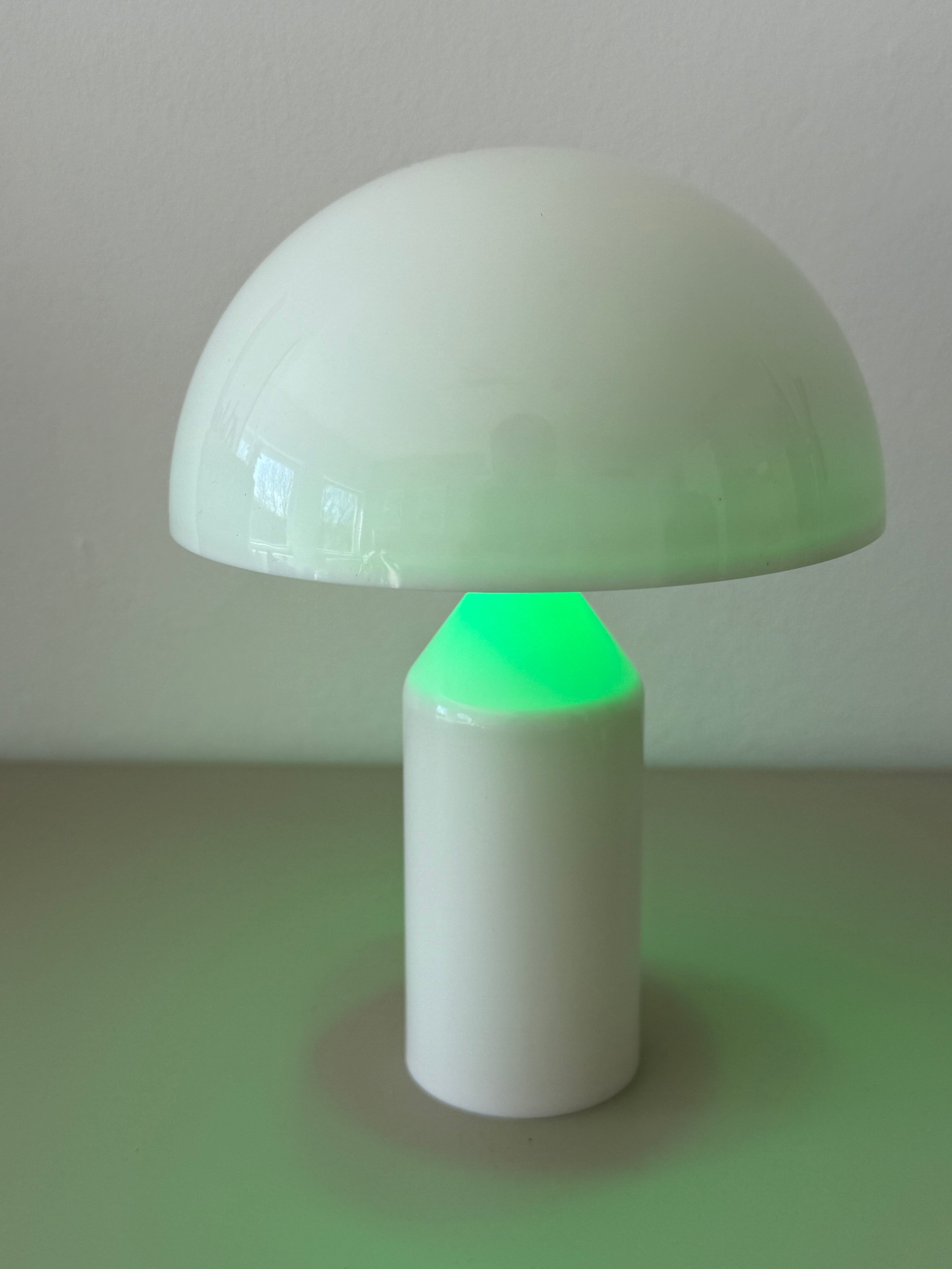 Limitierte Mushroom Groove Pilzlampe – bunt & perfekt im Sommer