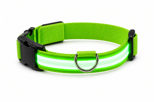 ASCEND 21 NIGHTPAW™ LED Hundehalsband – Leuchtendes Hundehalsband mit USB-Ladefunktion – Reflektierendes Sicherheits-Halsband für Nachtspaziergänge & Outdoor Aktivitäten