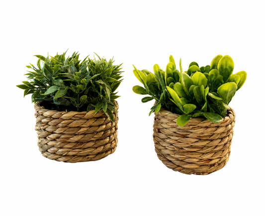 Coastal Greens™ 2er-Set Deko-Kunstpflanzen im Korb – realistische künstliche Pflanzen für Wohnzimmer, Badezimmer & Büro | Pflegefreie Mini-Zimmerpflanzen im Boho & Skandi Design