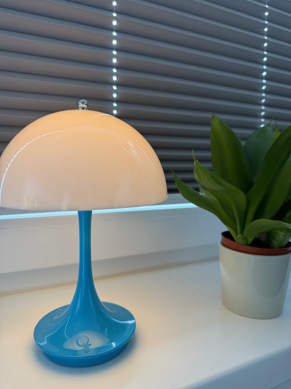 BlueShroom Light - Design-Akku-Lampe