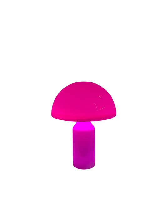 Limitierte Mushroom Groove Pilzlampe – bunt & perfekt im Sommer